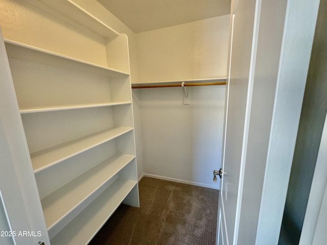 walk in closet with dark carpet