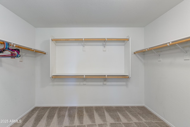 spacious closet featuring carpet flooring