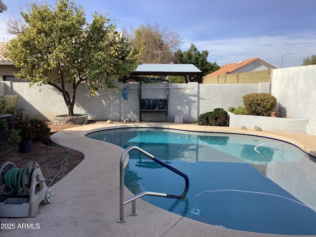 view of pool with a fenced backyard and a fenced in pool