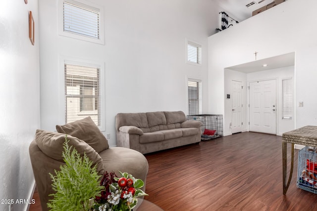 living area featuring a high ceiling and dark wood-style flooring