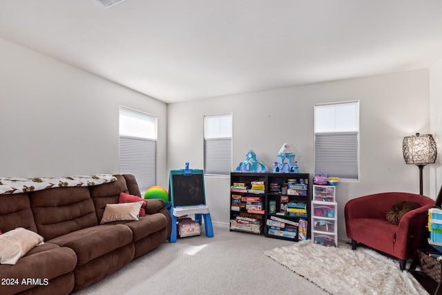 living room with carpet floors