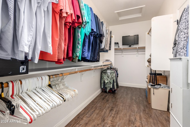 walk in closet featuring wood-type flooring