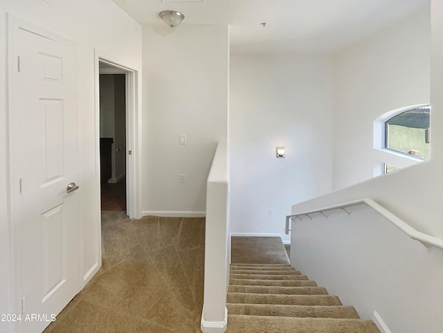 stairs featuring dark carpet