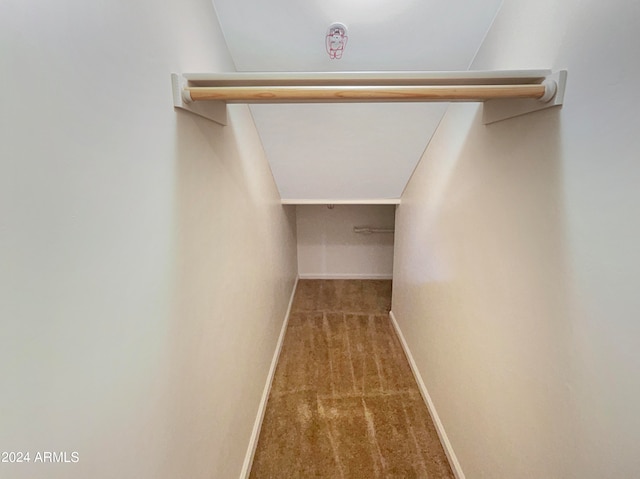 spacious closet with carpet floors