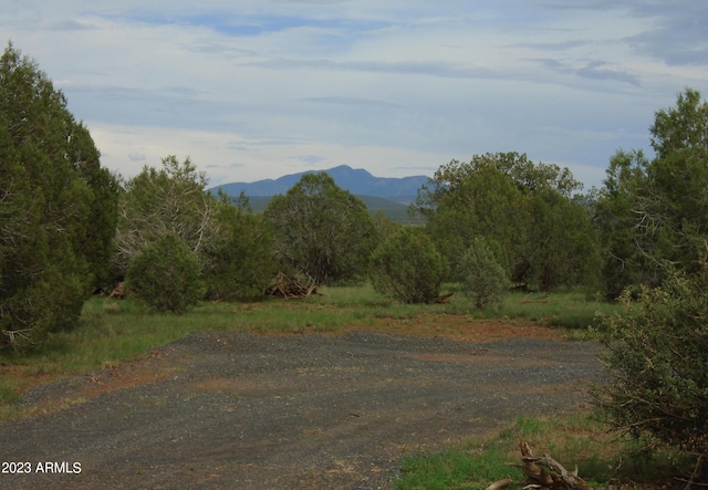 1802 W Cumberland Rd -, Unit Williams AZ, 86046 land for sale