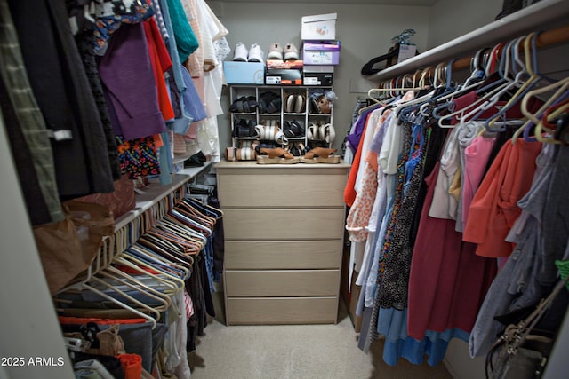 2635 N 62nd St, Mesa, AZ 85215 - view of walk in closet