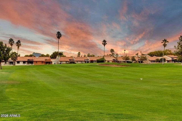2635 N 62nd St, Mesa, AZ 85215 - view of property's community featuring a yard and a residential view