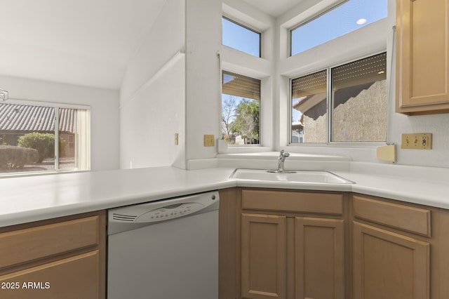 kitchen featuring white dishwasher, a wealth of natural light, and sink