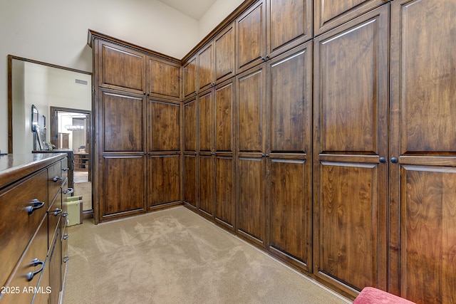 spacious closet with light carpet and visible vents