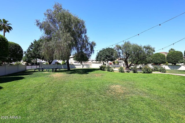 4317 N 70th St, Scottsdale, AZ 85251 - view of yard