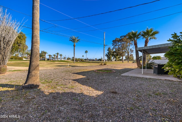 view of yard with a patio area