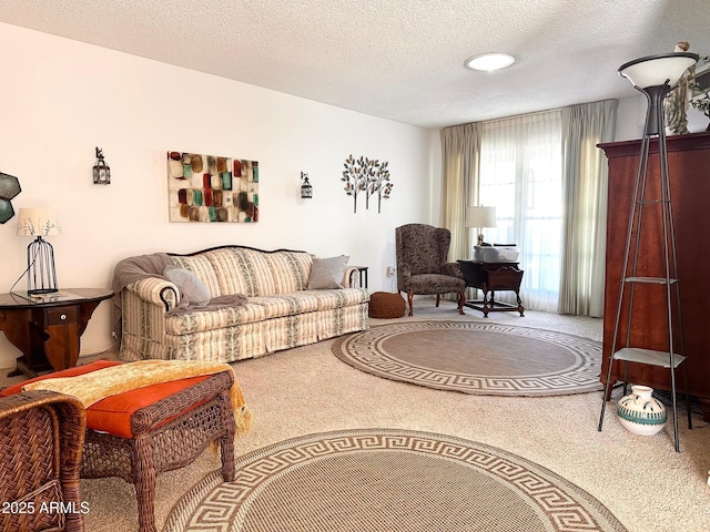 living room with a textured ceiling