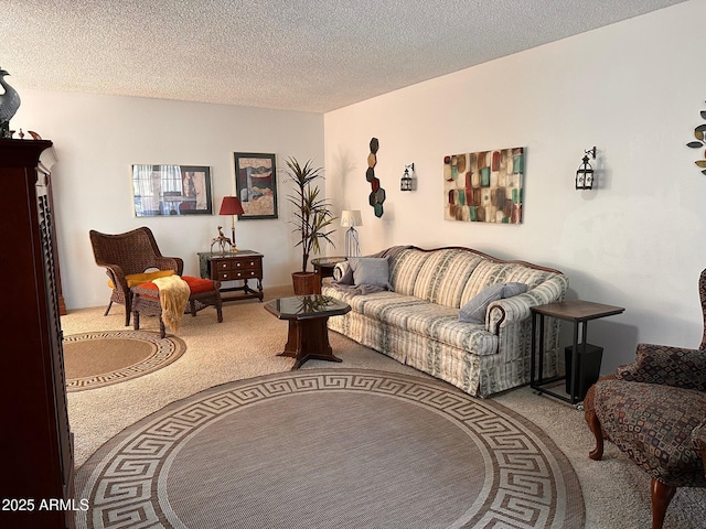 living room featuring carpet and a textured ceiling