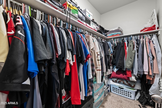 spacious closet with carpet