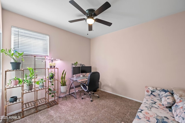 home office featuring baseboards, carpet, and a ceiling fan