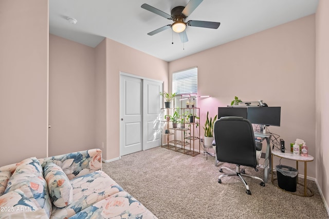 office space with ceiling fan, baseboards, and carpet