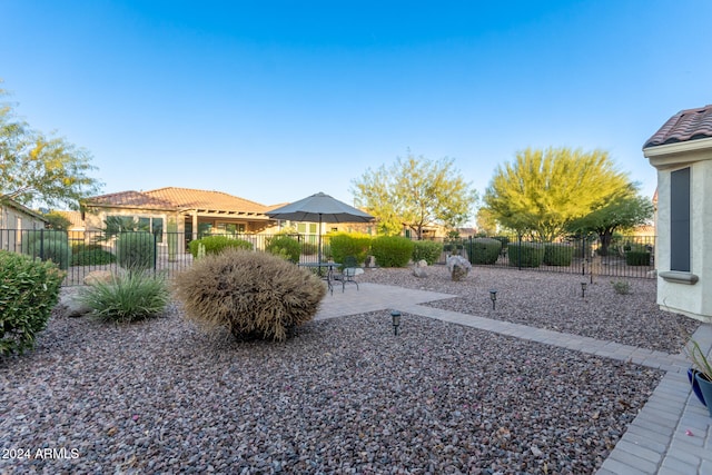 view of yard featuring a patio area