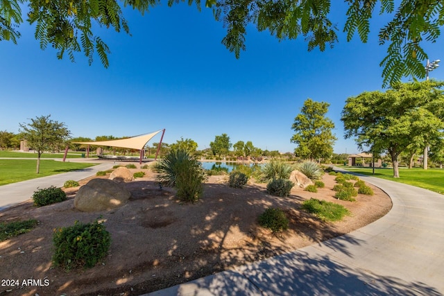 view of property's community with a lawn