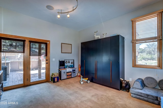 interior space with light colored carpet