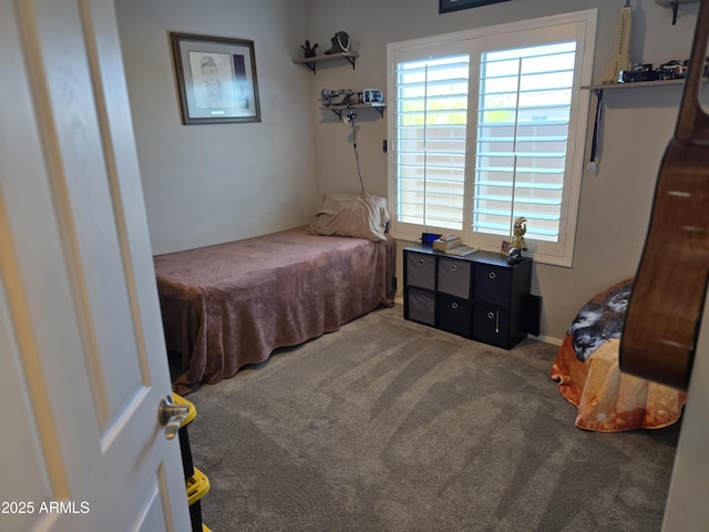 2316 N Crestwood Dr, Florence, AZ 85132 - view of carpeted bedroom