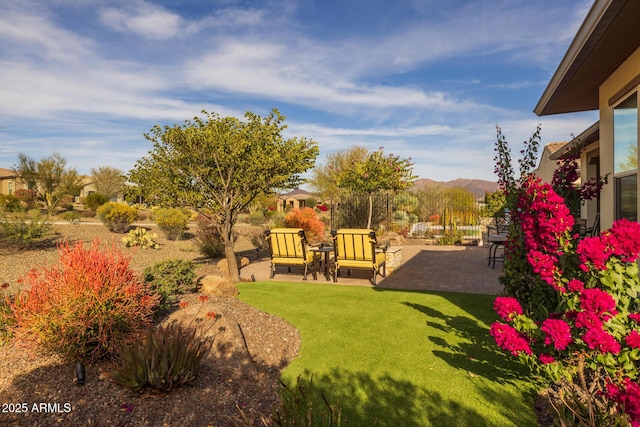 view of yard with a patio and a mountain view