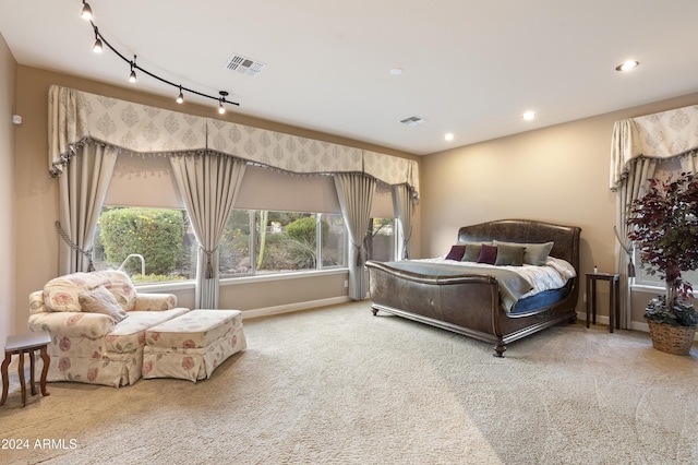 2378 N 158th Dr, Goodyear, AZ 85395 - carpeted bedroom with baseboards, recessed lighting, and rail lighting