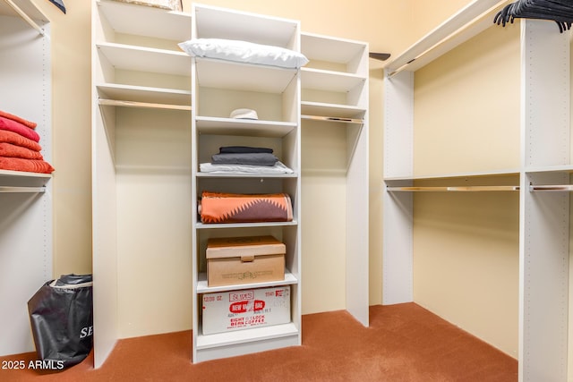 spacious closet with carpet