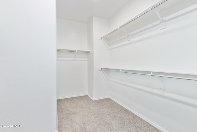 walk in closet featuring light carpet