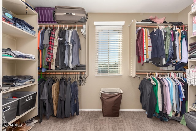 spacious closet with carpet floors