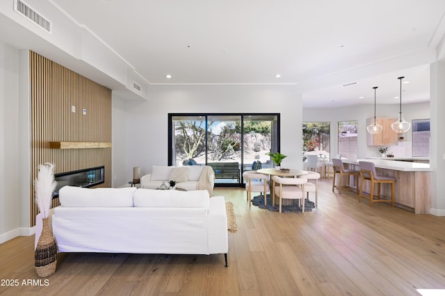 living room featuring light wood-type flooring