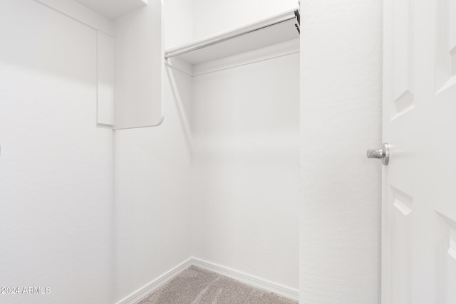 spacious closet featuring carpet flooring