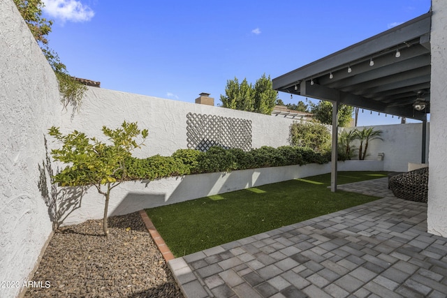 view of yard with a patio area