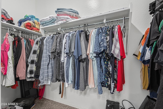 walk in closet featuring carpet floors