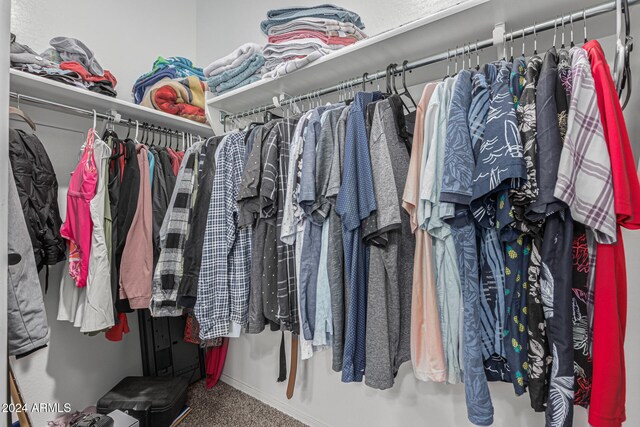 walk in closet with carpet floors