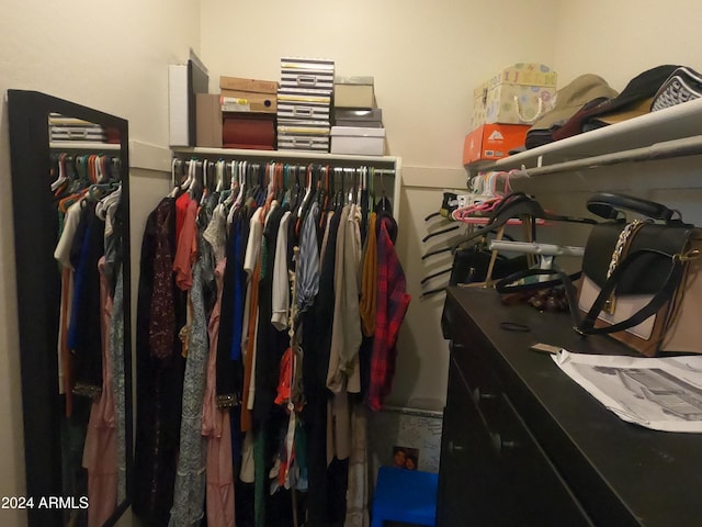 view of spacious closet