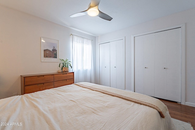 bedroom with ceiling fan, two closets, and dark hardwood / wood-style floors