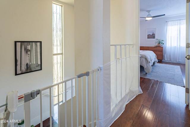 corridor with dark hardwood / wood-style flooring