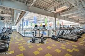 workout area featuring carpet floors