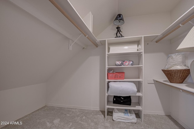 spacious closet with light carpet