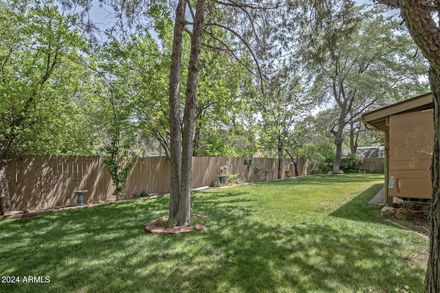 view of yard with a fenced backyard