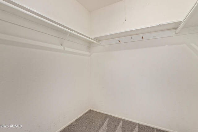 8328 E Chaparral Rd, Scottsdale, AZ 85250 - spacious closet featuring carpet
