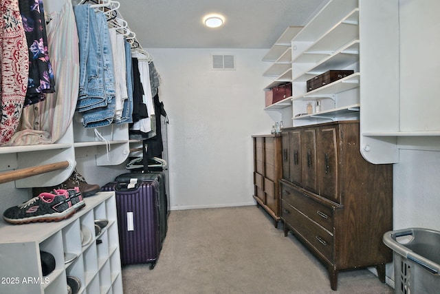 927 N Somerset Cir, Mesa, AZ 85205 - walk in closet with light colored carpet