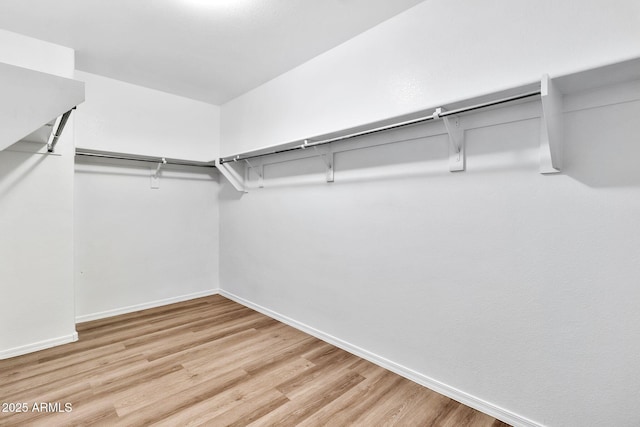 walk in closet featuring light hardwood / wood-style flooring