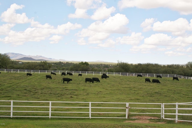 view of yard with a mountain view and a rural view