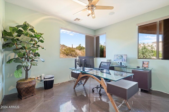 office area featuring a healthy amount of sunlight and ceiling fan