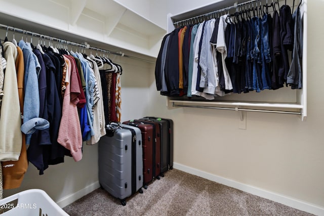 walk in closet with carpet floors