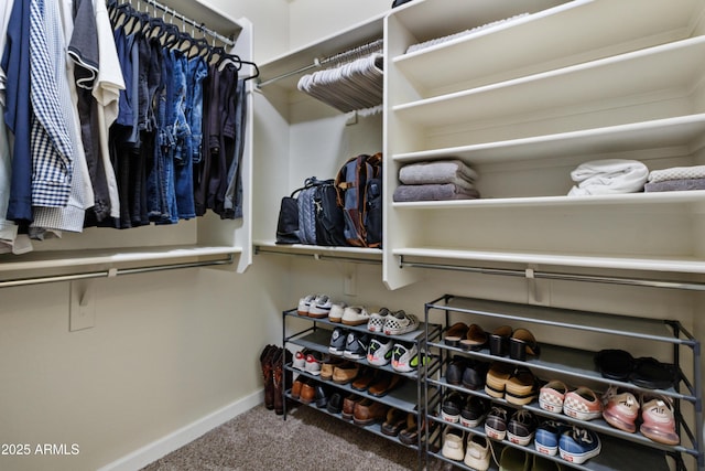 walk in closet featuring carpet floors