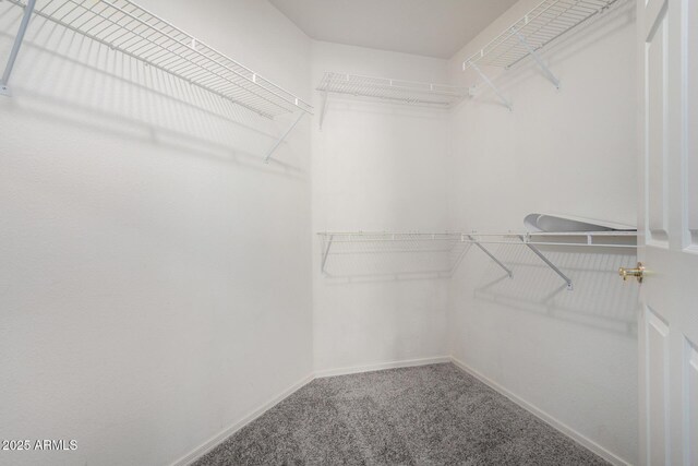 15380 N 100th St Unit 1106, Scottsdale, AZ 85260 - spacious closet with carpet flooring
