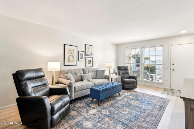 living room featuring hardwood / wood-style flooring