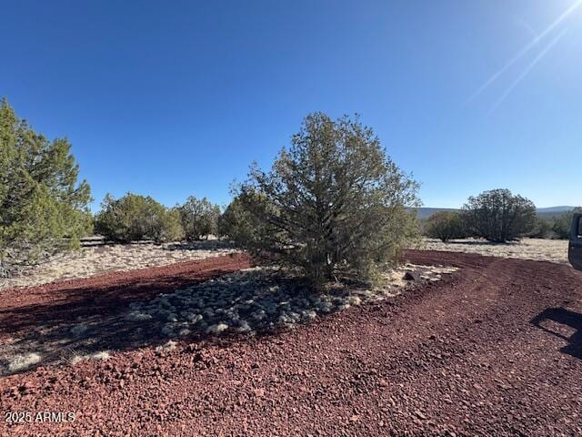 view of local wilderness